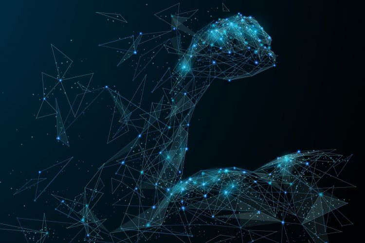 Empresa de diseño de páginas web, ¿cómo trabajamos y escoger la mejor?