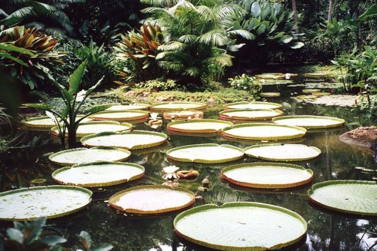 jenkins - Comenzando con Jenkins